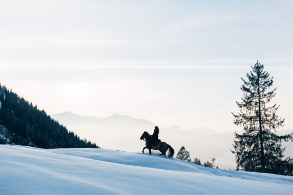 Nebelhorn-Wanderreiten-Pferd-Schnee